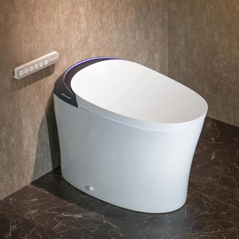 CANEST Smart Toilet Review: Pros & Cons Honest Opinion 21 Image 1 of CANEST smart toilet review