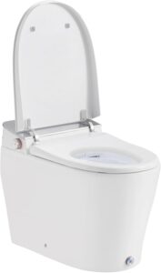 Image 1 of OVE Decors Clarke toilet review