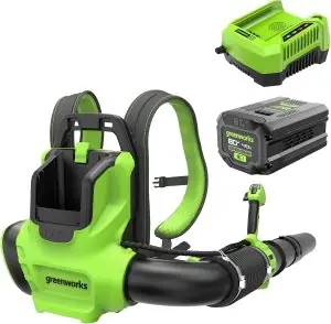 Image 1 of Greenworks 80V backpack leaf blower review
