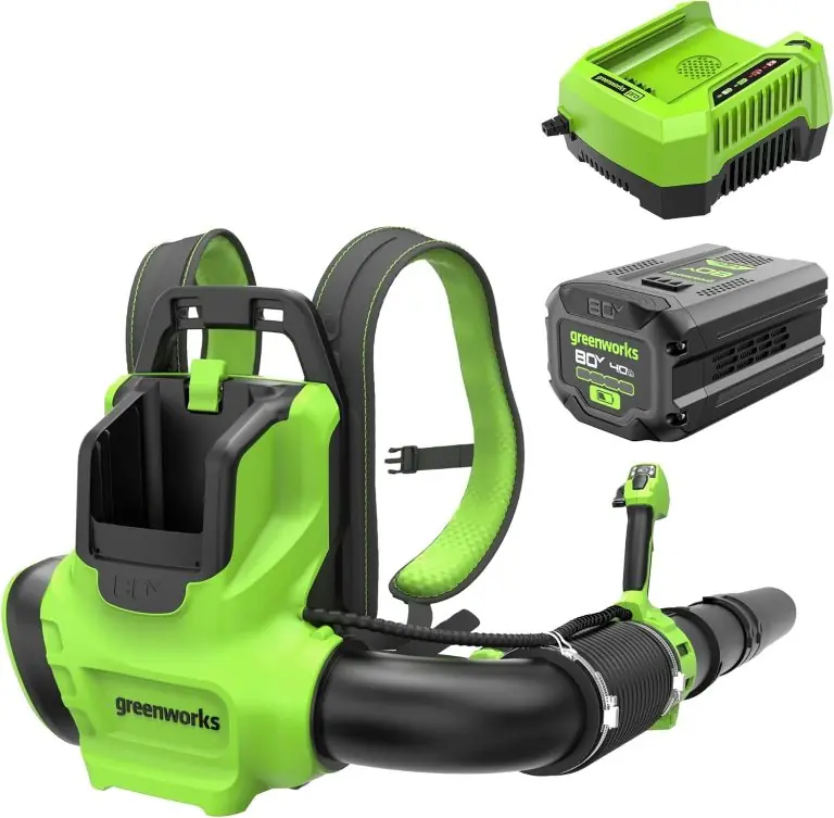 Image 1 of Greenworks 80V backpack leaf blower review