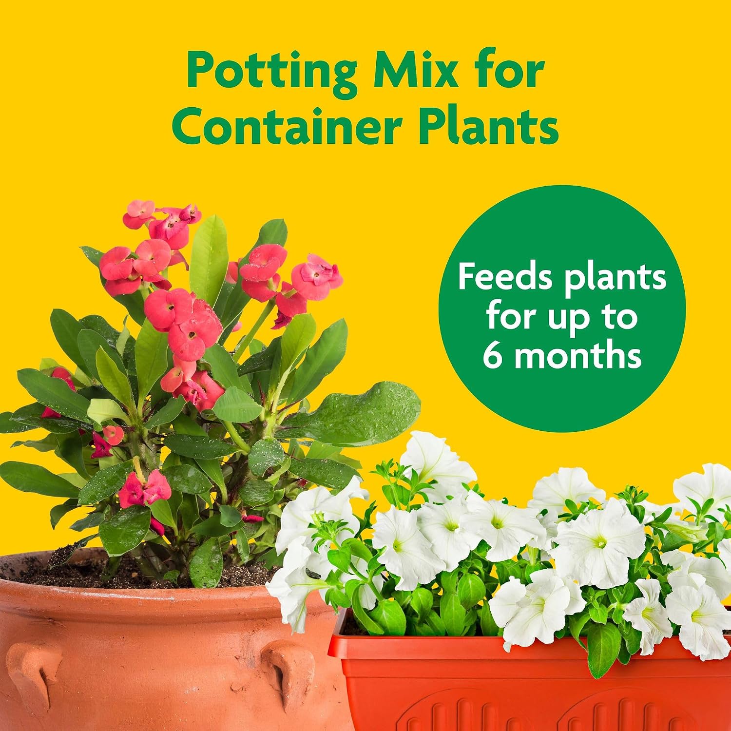 Miracle-Gro Potting Mix review: Honest Verdict & Pros 2 Miracle-Gro Potting Mix review, Miracle-Gro Potting Mix review and rating, is Miracle-Gro Potting Mix worth buying, Miracle-Gro Potting Mix review pros cons, Miracle-Gro Potting Mix review honest opinion, Miracle-Gro Potting Mix review verdict unboxing and complete package contents